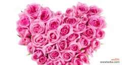探寻粉玫瑰背后的深意 粉玫瑰的花语