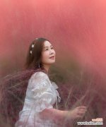 探索粉黛乱子草的花语寓意，洞悉花海中的秘密 粉黛乱子草花语寓意大揭秘