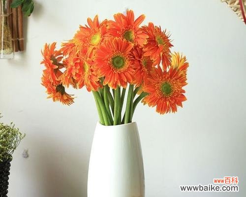 在寒冷的冬日,我们更需关怀和支持 以扶郎寓意