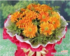 在寒冷的冬日，我们更需关怀和支持 以扶郎寓意