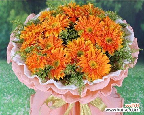 在寒冷的冬日,我们更需关怀和支持 以扶郎寓意