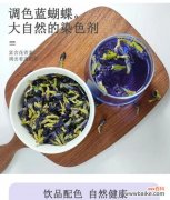 兰豆花的花语是什么？兰豆花代表了什么？
