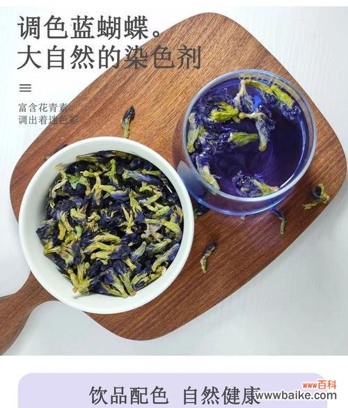 兰豆花的花语是什么？兰豆花代表了什么？