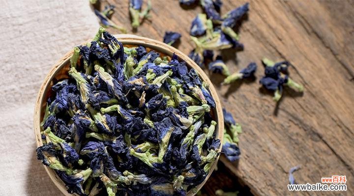 兰豆花的花语是什么？兰豆花代表了什么？