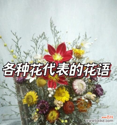 茉莉白茶的寓意和花语是什么？它代表了怎样的情感？