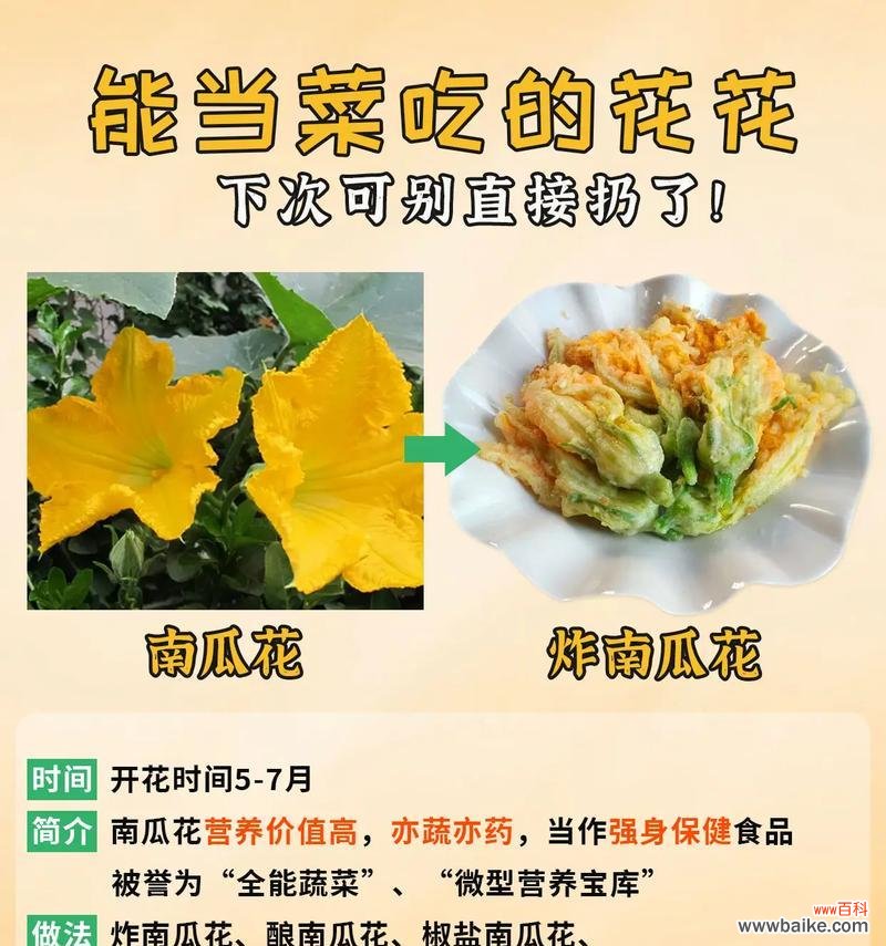 哪种花的花语象征着美食?它的寓意是什么?