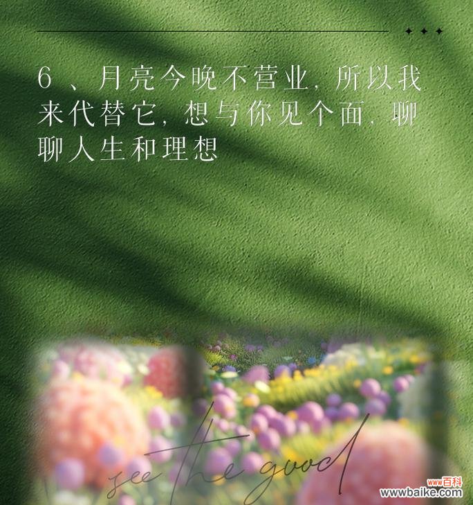 想和你见面是什么花的花语？它表达了怎样的情感愿望？