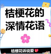 凋谢的爱象征哪种花语？含义是什么？