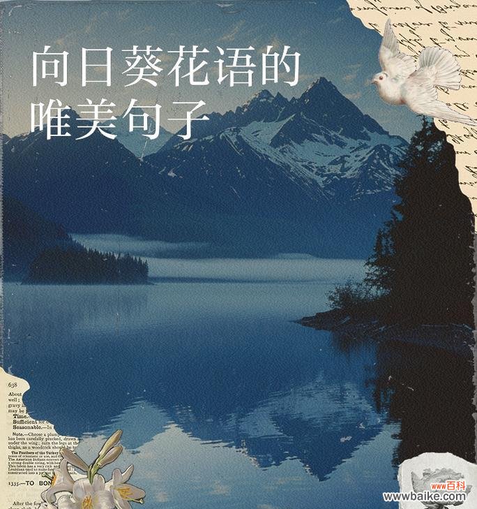 凋谢的爱象征哪种花语？含义是什么？