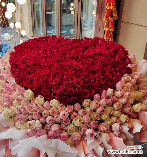 探寻红玫瑰的花语和情感表达 99朵红玫瑰的花语传递浓情