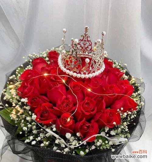 探寻红玫瑰的花语和情感表达 99朵红玫瑰的花语传递浓情