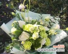 绿色康乃馨传递的平静与安宁 康乃馨的花语和意义