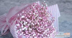 探寻满天星花语的寓意与象征意义 满天星花语