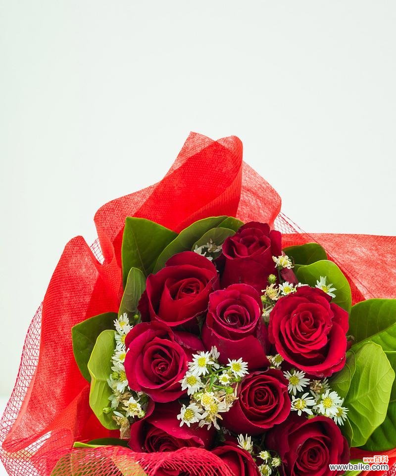 玫瑰大红色有什么花语?它在爱情中的象征意义是什么?