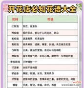 复合情侣适合哪种花语？有什么推荐？