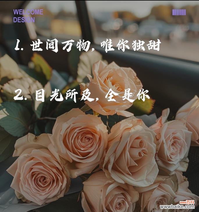 十字爱情的花语代表什么？它有何深层含义？