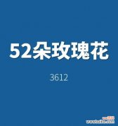 52朵红玫瑰传递了哪些花语？