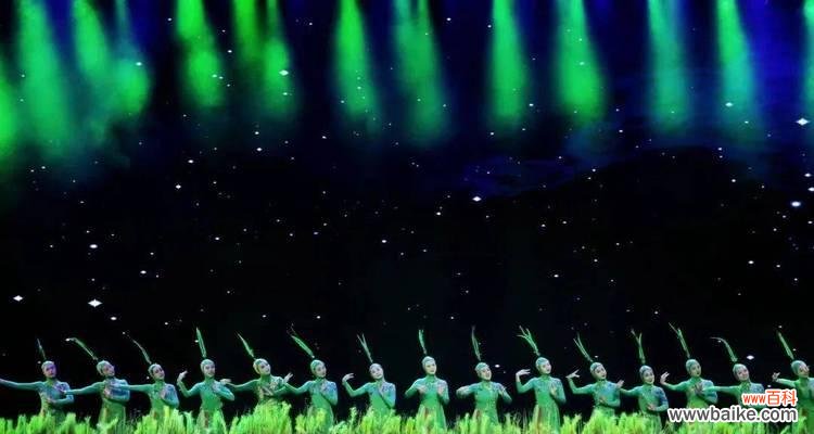 小朋友小礼花彩虹的花语有何含义？