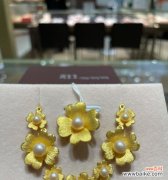 小朋友小礼花彩虹的花语有何含义？