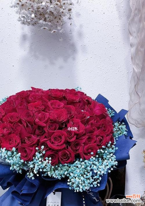 求婚时手拿玫瑰花的寓意是什么？玫瑰花在求婚中象征什么？