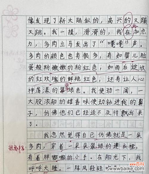 写给妹妹的花语通常表达什么情感？