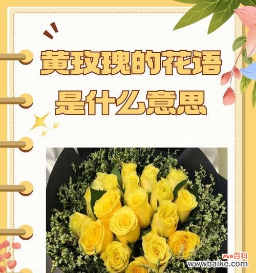 写给妹妹的花语通常表达什么情感？
