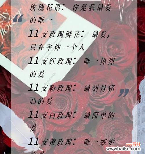 陆逸铭大结局中的难言花语有何深意?