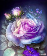 四十七朵玫瑰花语有何特殊意义？