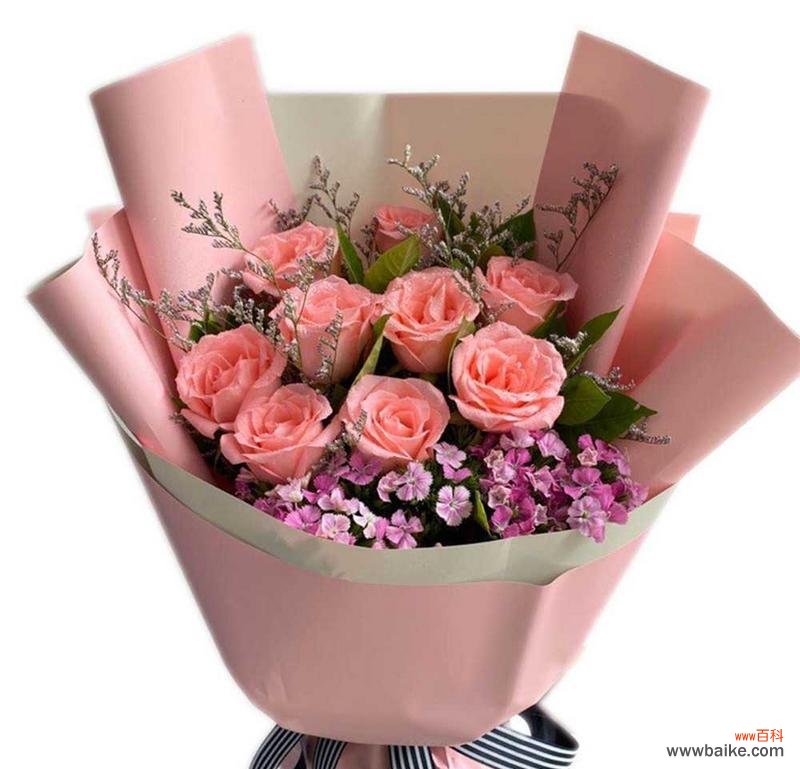 永恒幸福花语表达了什么情感?它象征着什么?