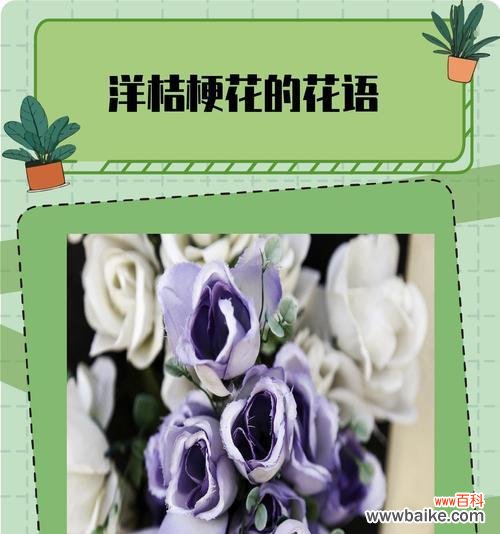 永恒幸福花语表达了什么情感?它象征着什么?