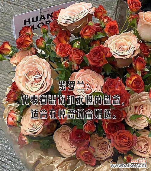 愚人玫瑰的花语有何特别之处？它象征着什么？