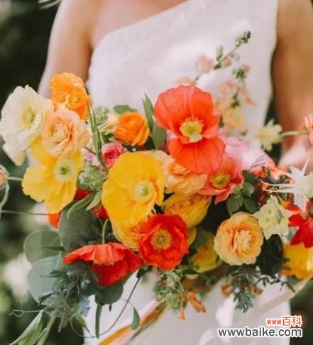 丹蔻花语的含义如何解释？