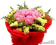 红色康乃馨传达的爱情 红色康乃馨的花语与寓意