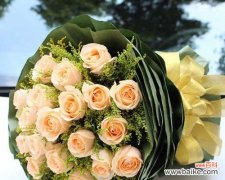 香槟金色衬衫代表什么？它的花语有何含义？