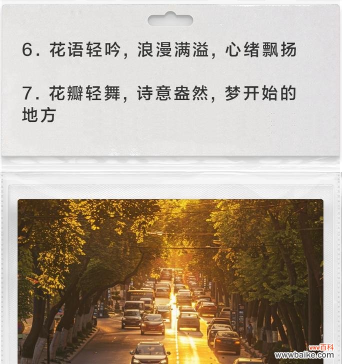 哪些花语既不浪漫又美丽？