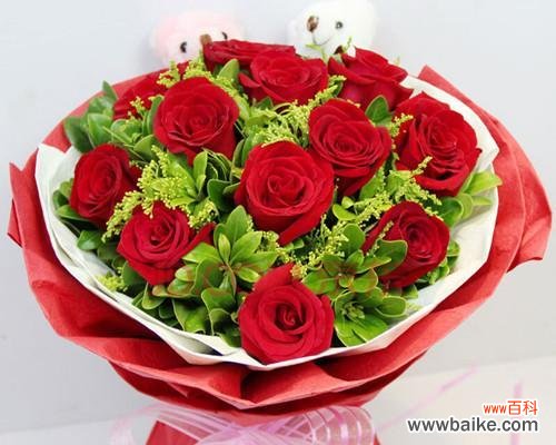 9朵玫瑰在风水中代表什么?寓意有哪些?