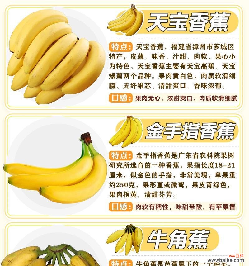 香蕉象征着哪些积极的花语？