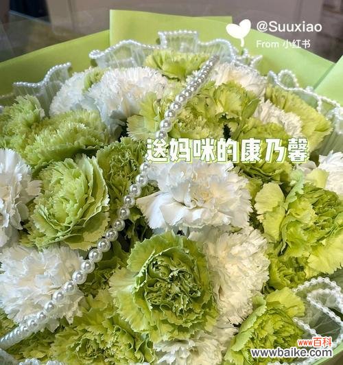 探索康乃馨花束中的生机与希望 绿色康乃馨的花语