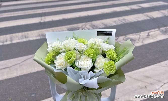 探索康乃馨花束中的生机与希望 绿色康乃馨的花语