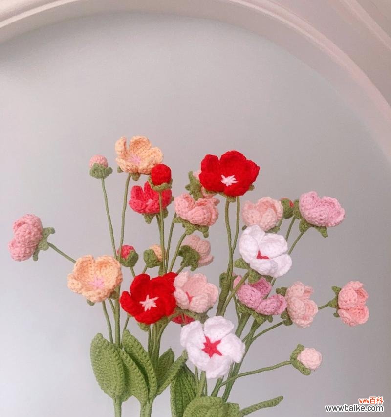 黑荆棘象征着怎样的花语？