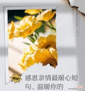 哪些花语能够代表亲情的温暖？