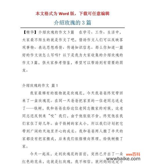 玫瑰花寓意作文300字怎么写?