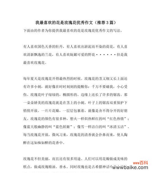 玫瑰花寓意作文300字怎么写?