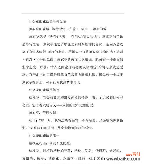 送男生什么花最合适？花语表达的含义是什么？