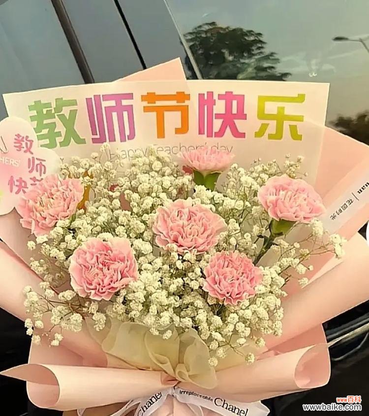 送男生什么花最合适？花语表达的含义是什么？