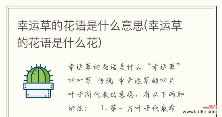 送男生什么花最合适？花语表达的含义是什么？
