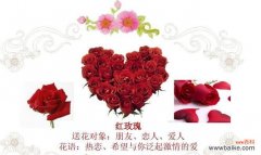 外交场合的花语是什么呢？如何在外交中正确送花？