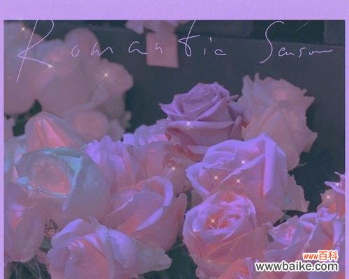 头像中一堆玫瑰花有何寓意？它传递了什么信息？