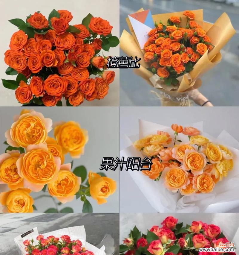 黄色妖姬玫瑰的花语寓意有何特别之处？