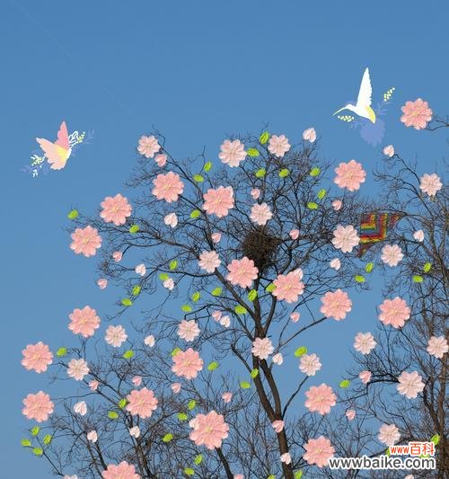 枯树没有花还有花语吗?为什么枯树没有花语?